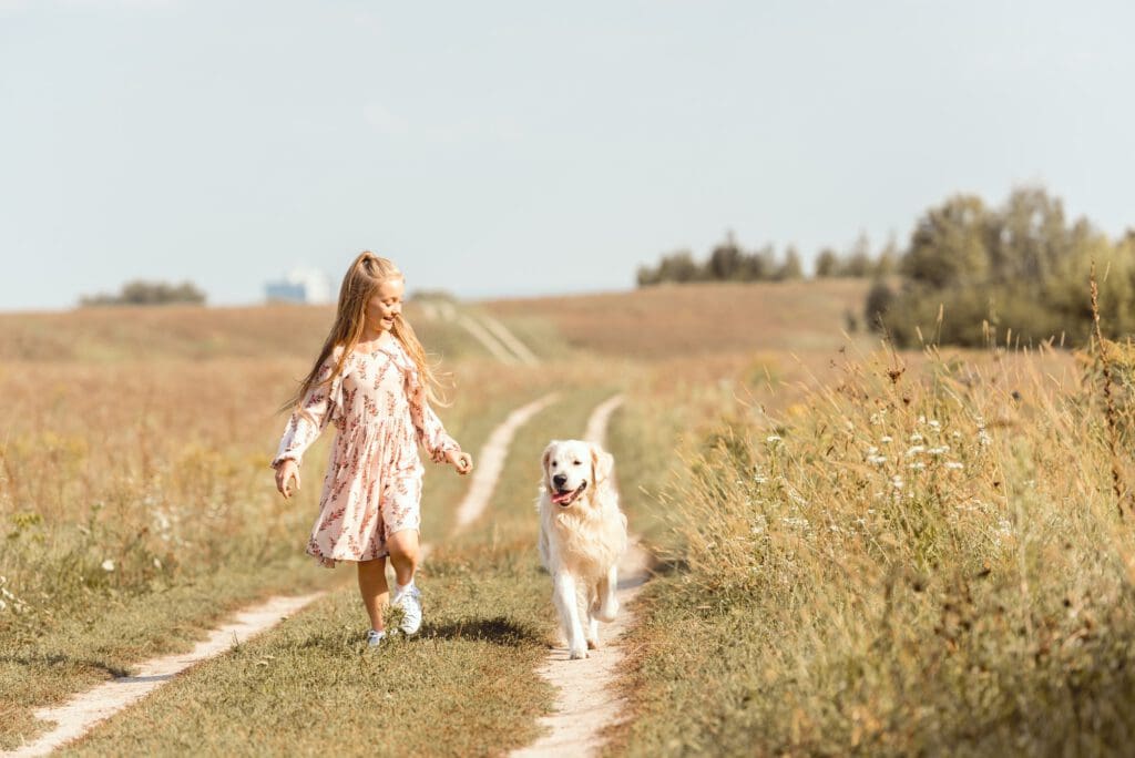 beautiful little child running with adorable golden retriever dog in field
