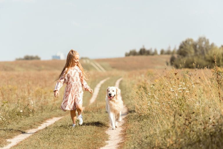 Traumatisierter Hund: Therapie, Stabilisierung & Heilung (Teil 2) - Seevetal | Hundepsychologin Traumatisierter Hund: Therapie, Stabilisierung & Heilung (Teil 2) – Seevetal