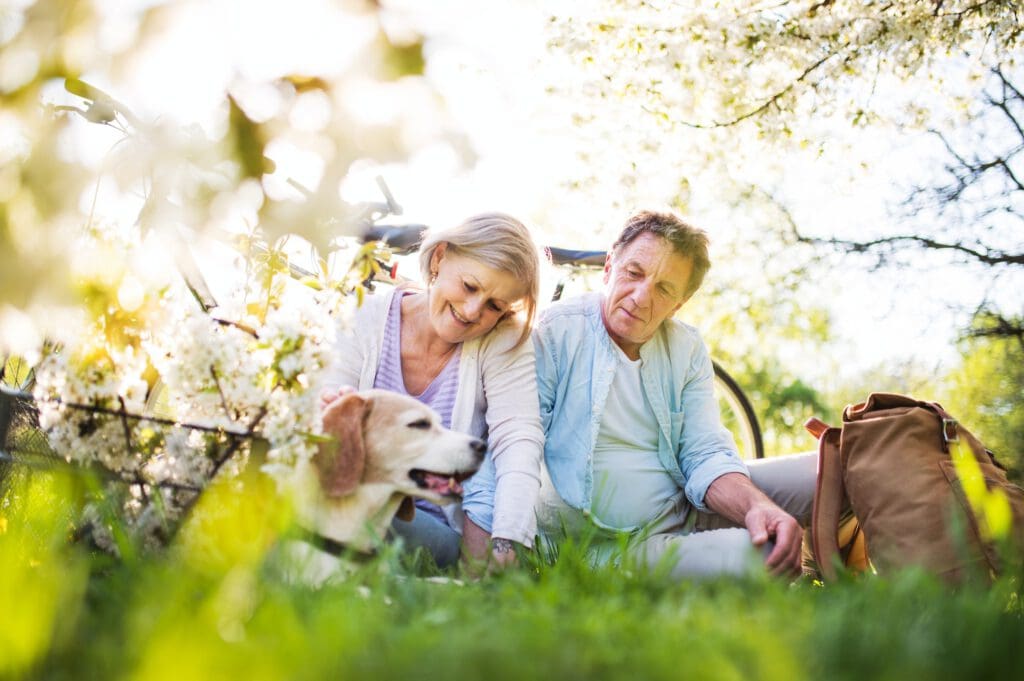Beautiful senior couple with dog and bicycles outside in spring nature.