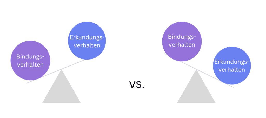 Hund im Freilauf: Erkundungsverhalten und Bindungsverhalten