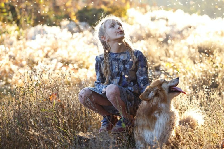 Hochsensible Hunde erkennen: Eigenschaften & Umgang | Hundepsychologin Hochsensible Hunde erkennen: Eigenschaften & Umgang