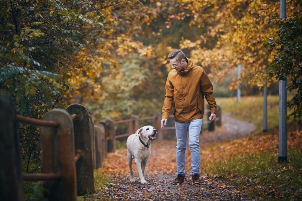 Man with dog during autumn day