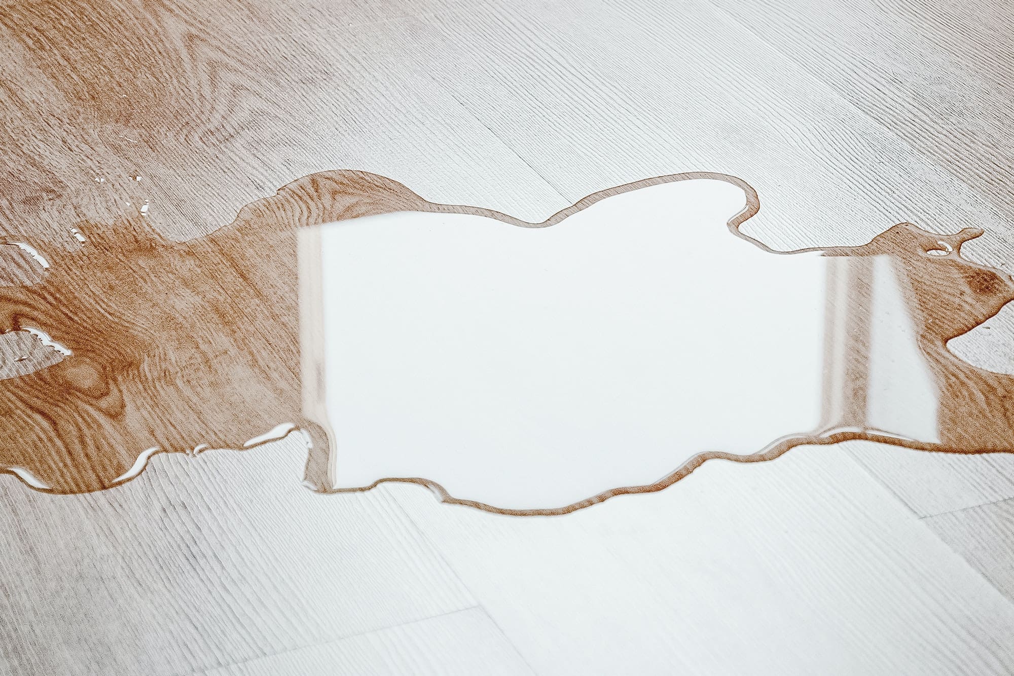 Hund pinkelt in Wohnung obwohl er draußen war Seevetal Hundepsychologin