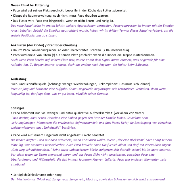 Mobile Hundepsychologin | Seevetal, Hamburg und Umgebung