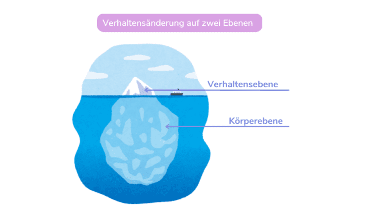 Adrenalin: Stress beim Hund abbauen – Seevetal