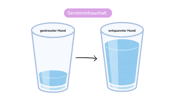 Entspannung durch Tryptophan für Hunde – Seevetal