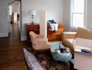 Moving house, relocation, cardboard boxes piled up, furniture and a dog in a dogbed.