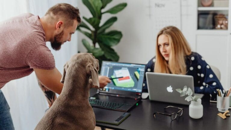 Hund im Büro: So bleibt dein Hund entspannt - Seevetal | Hundepsychologin Hund im Büro: So bleibt dein Hund entspannt – Seevetal