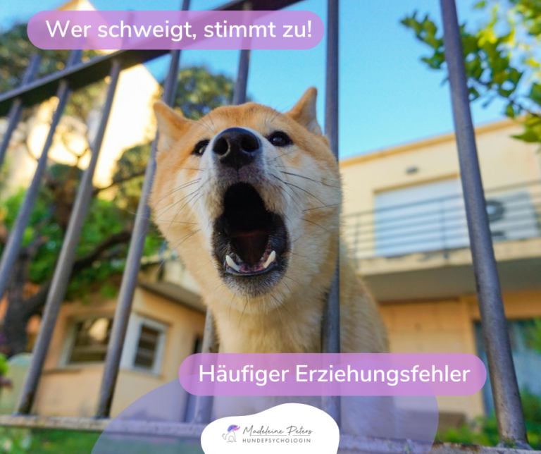 Hund ignorieren: Wer schweigt, stimmt zu! - Seevetal | Hundepsychologin Hund ignorieren: Wer schweigt, stimmt zu! – Seevetal