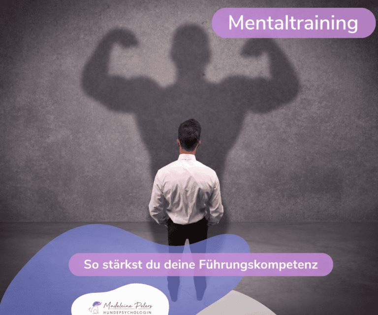 Innere Haltung im Hundetraining: Warum Führung beim Menschen beginnt – Seevetal | Hundepsychologin Innere Haltung im Hundetraining: Warum Führung beim Menschen beginnt – Seevetal