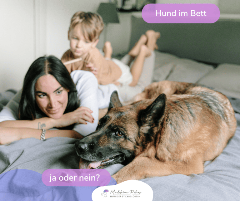 Darf mein Hund im Bett schlafen? Was Hundehalter wirklich wissen sollten - Seevetal | Hundepsychologin Darf mein Hund im Bett schlafen? Was Hundehalter wirklich wissen sollten – Seevetal